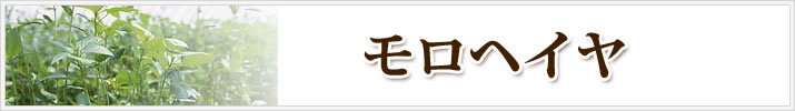 三ッ角屋のモロヘイヤ生麺